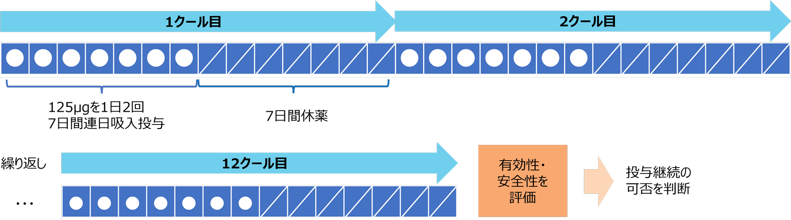 サルグマリンの肺胞内でのはたらきを表す図